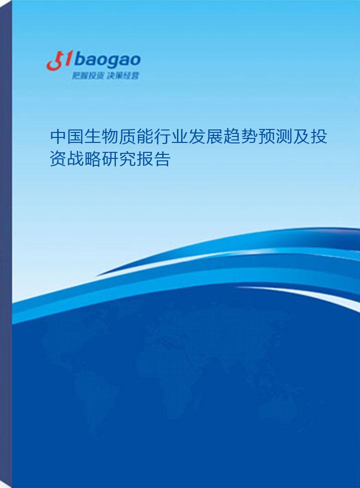 2024-2029年中国生物质能行业发展趋势预测及投资战略研究报告