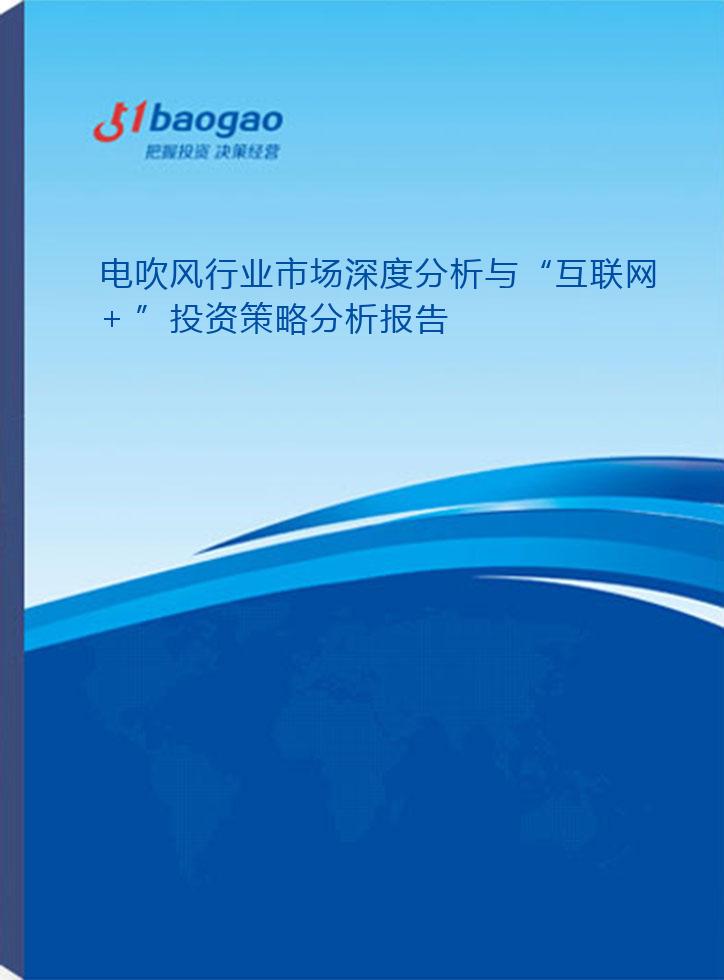 2026-2031年电吹风行业市场深度分析与“互联网+”投资策略分析报告