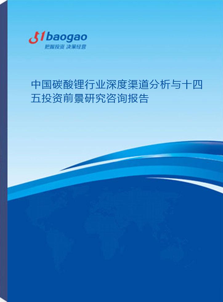 2024-2029年中国碳酸锂行业深度渠道分析与十四五投资前景研究咨询报告