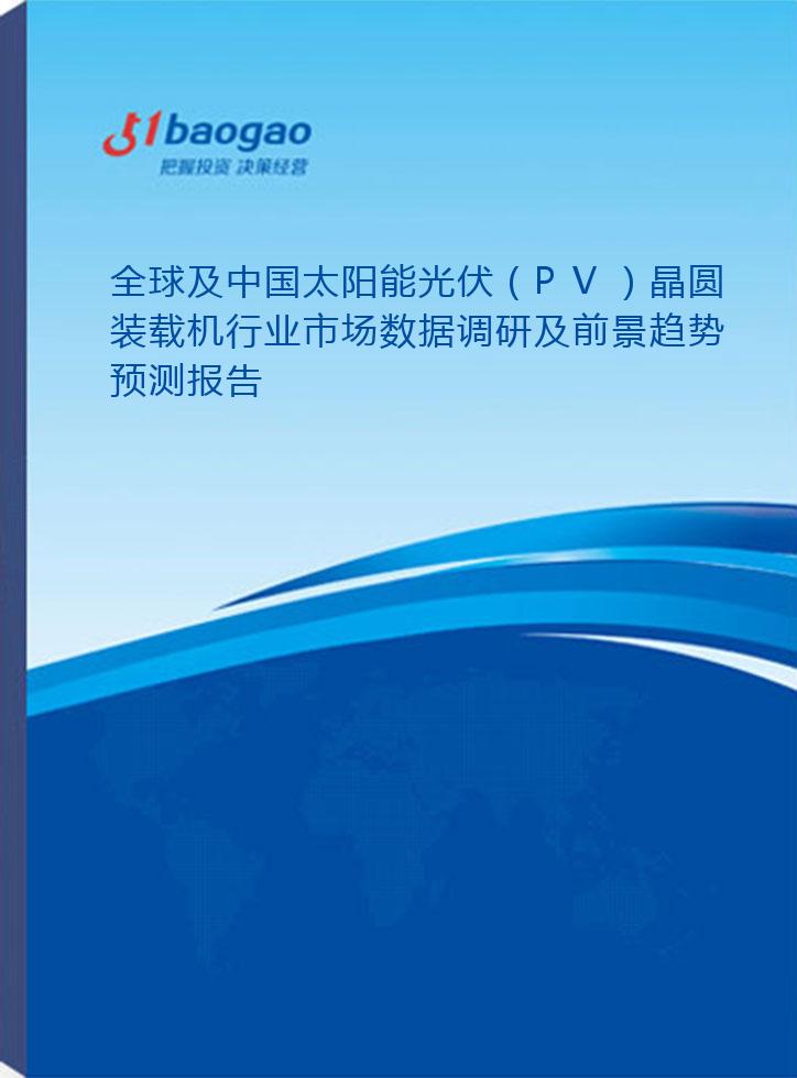 全球及中国太阳能光伏（PV）晶圆装载机行业市场数据调研及前景趋势预测报告(2025-2030年)