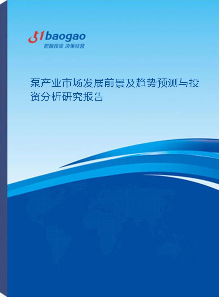 泵产业市场发展前景及趋势预测与投资分析研究报告(2025-2030版)