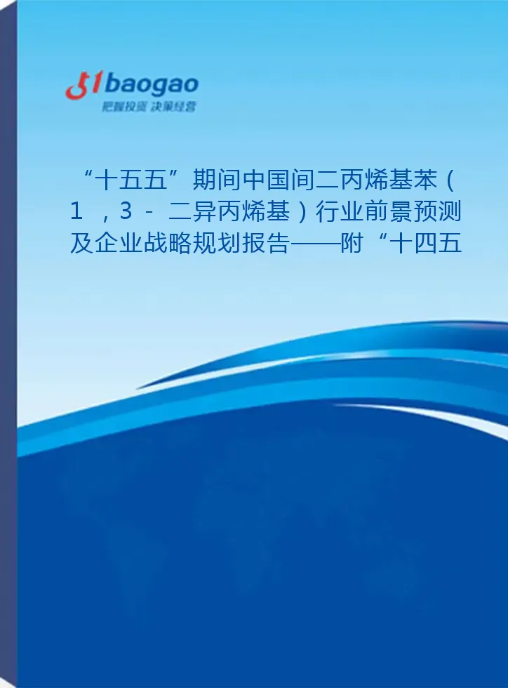 “十五五”期间中国间二丙烯基苯（1，3-二异丙烯基）行业前景预测及企业战略规划报告——附“十四五”发展回顾