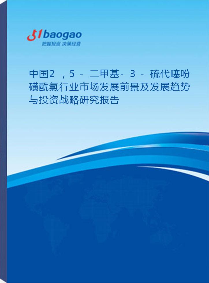 中国2，5-二甲基-3-硫代噻吩磺酰氯行业市场发展前景及发展趋势与投资战略研究报告(2026-2031版)