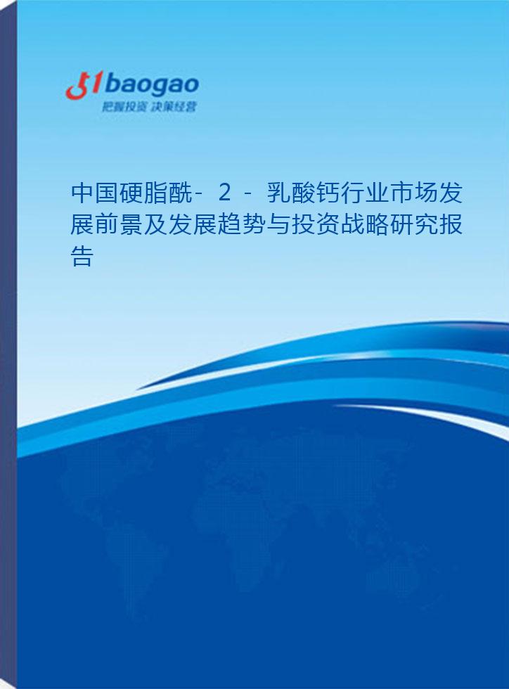 中国硬脂酰-2-乳酸钙行业市场发展前景及发展趋势与投资战略研究报告(2026-2031版)