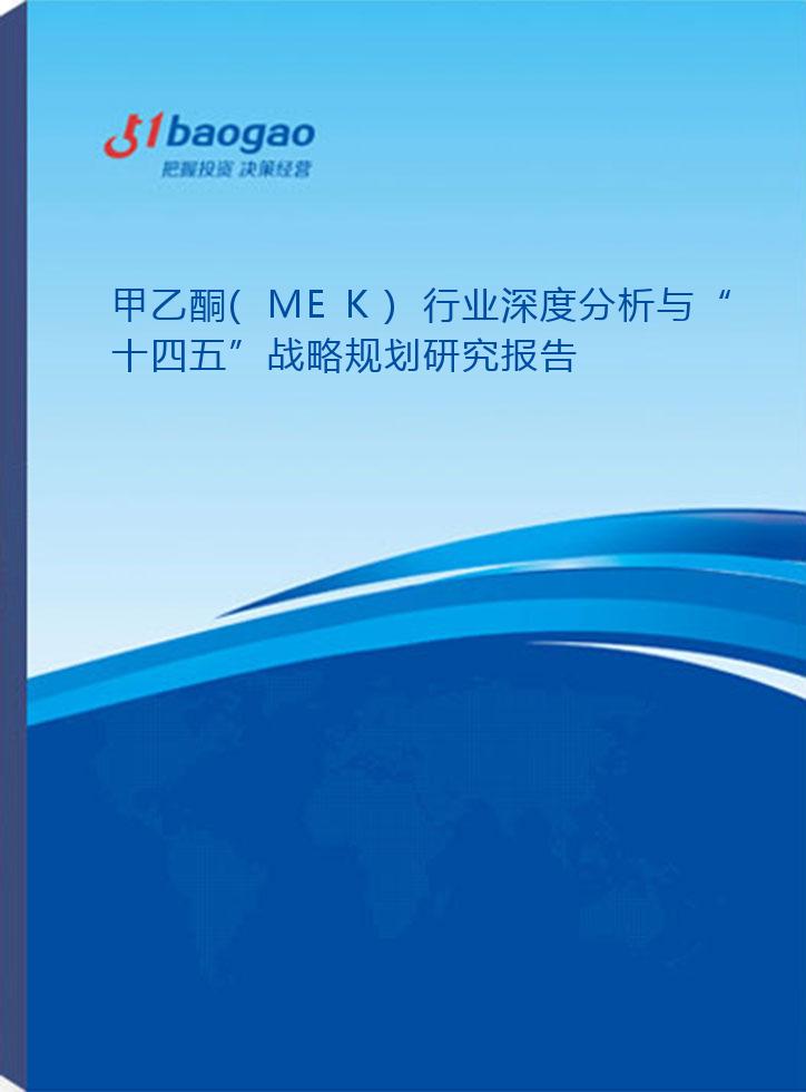2024-2029年甲乙酮(MEK)行业深度分析与“十四五”战略规划研究报告